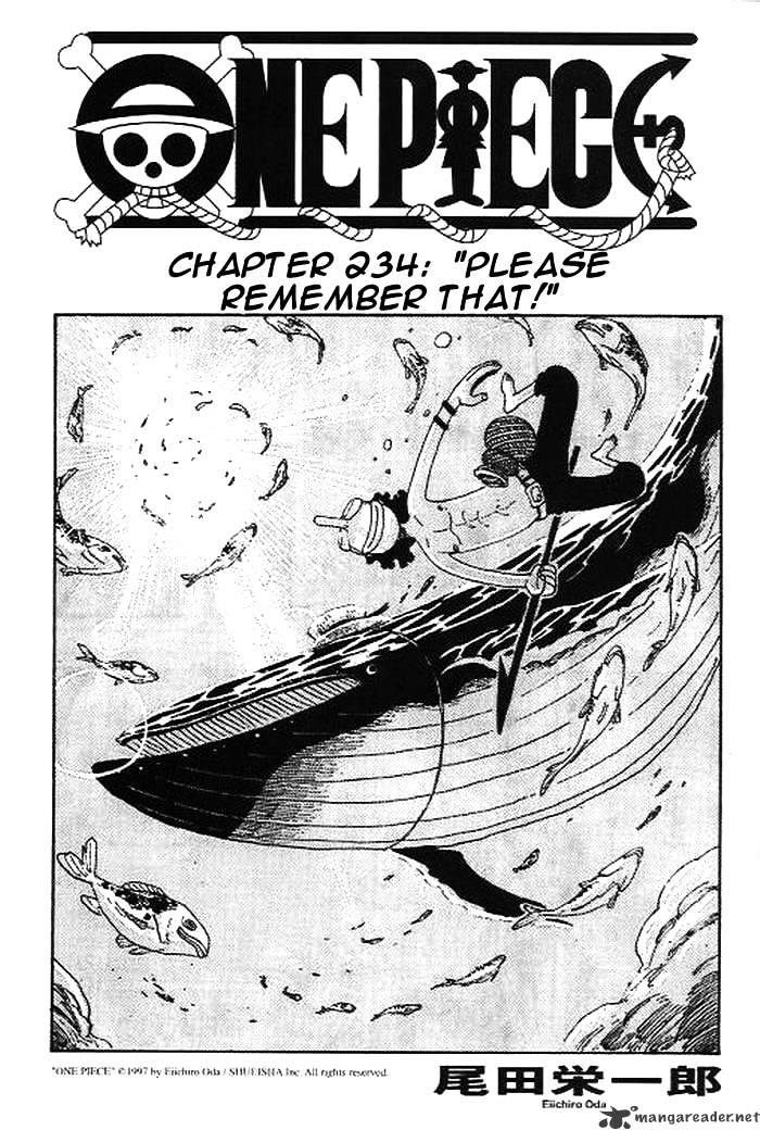 One Piece, Chapter 234 - Please Remember That! image 01
