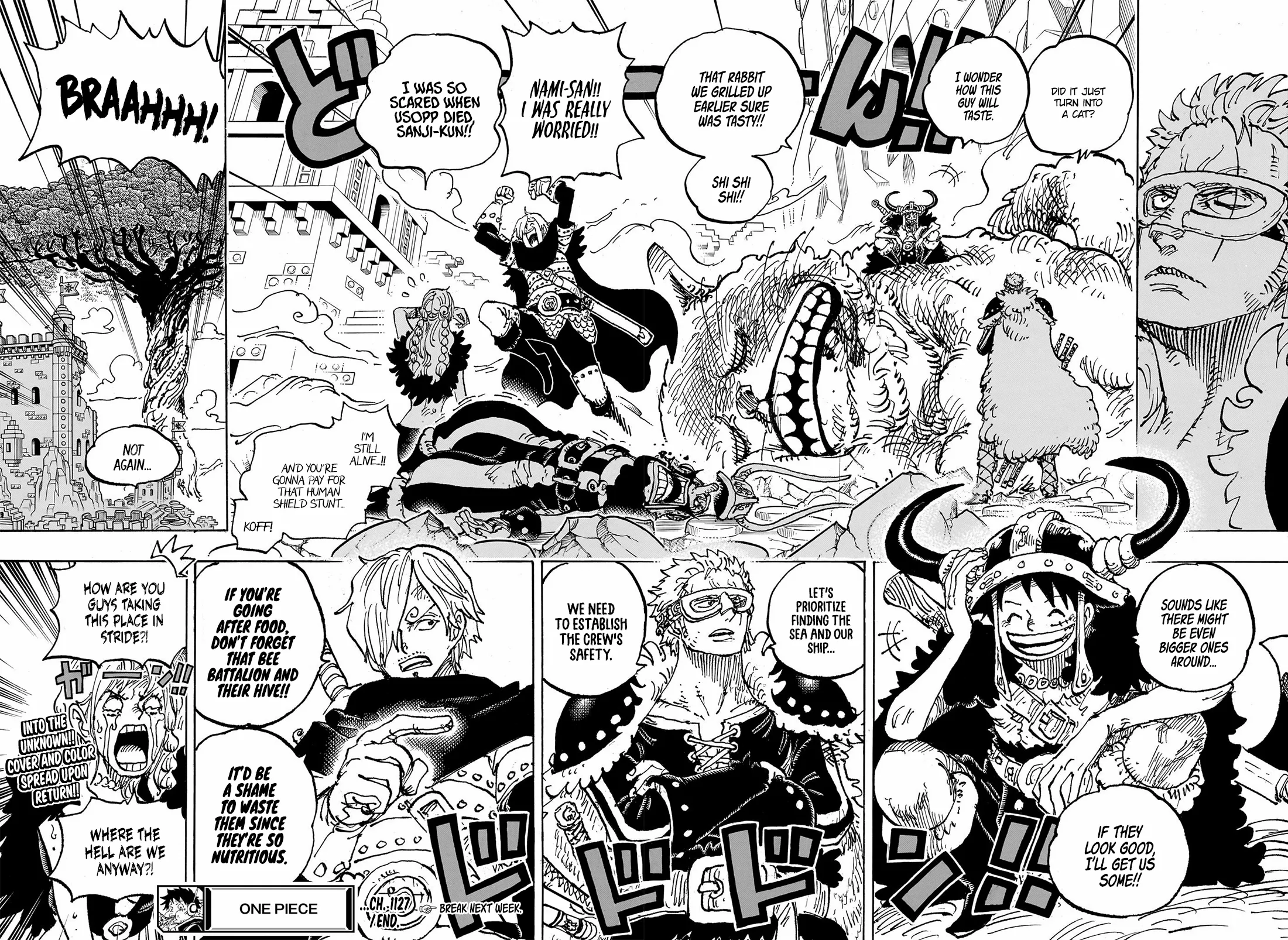 One Piece, Chapter 1127 image 15