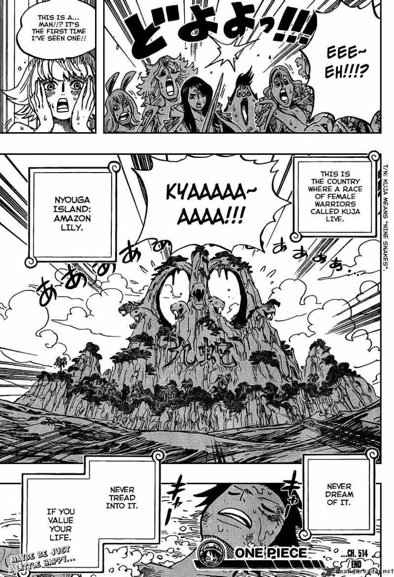 One Piece, Chapter 514 - Mushrooms Growing Out of Your Body Shroom image 18