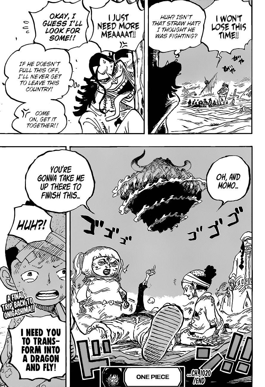One Piece, Chapter 1020 image 18