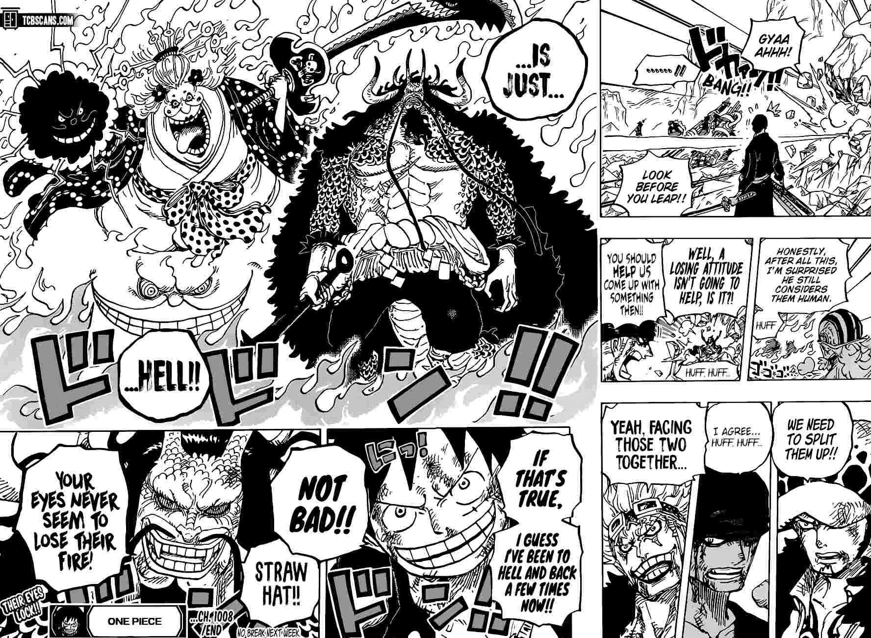 One Piece, Chapter 1008 image 17