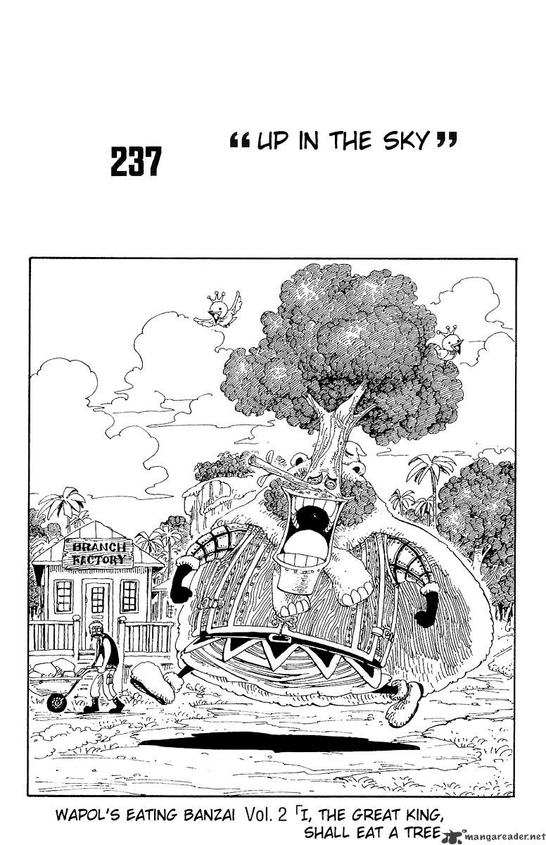 One Piece, Chapter 237 - Up In The Sky image 12