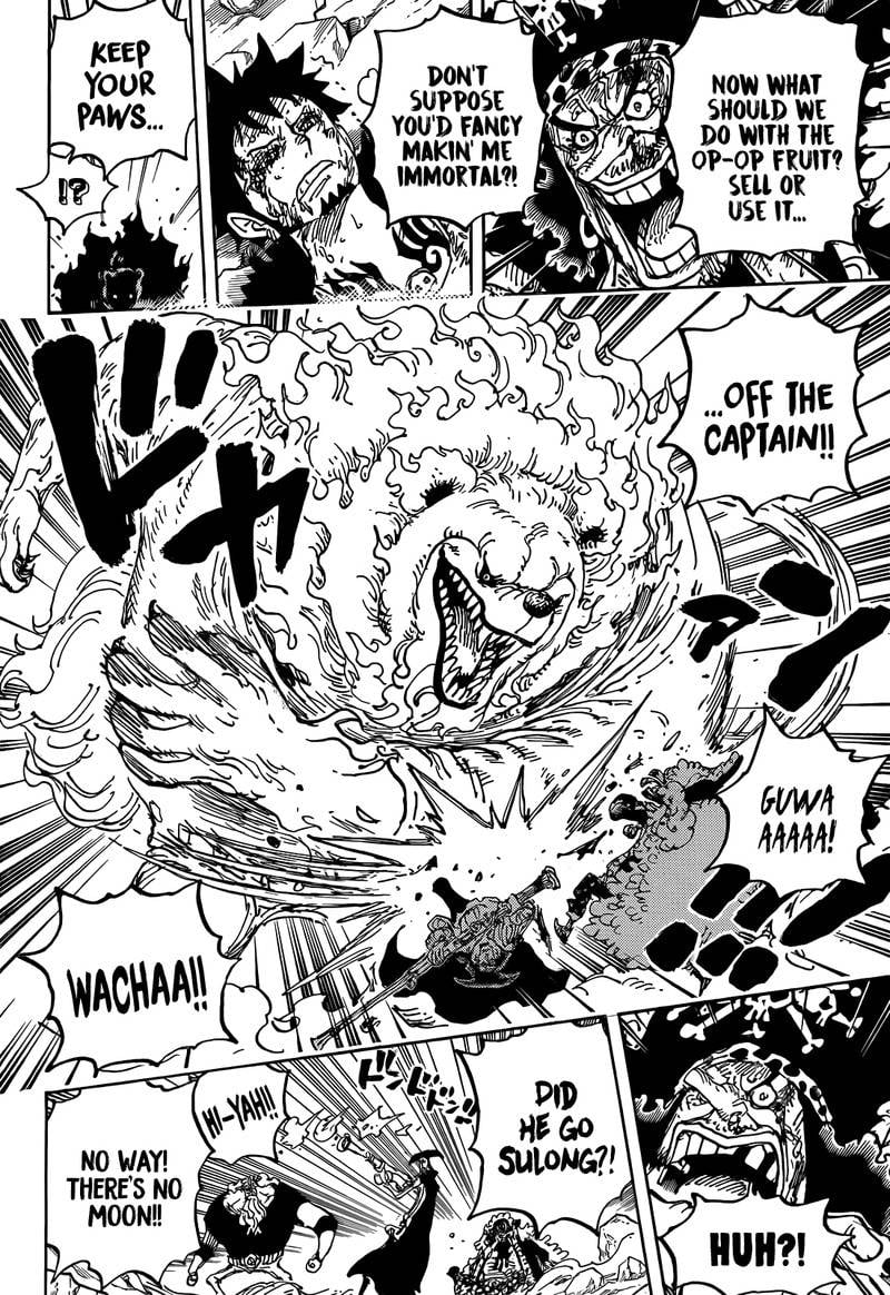 One Piece, Chapter 1081 image 14