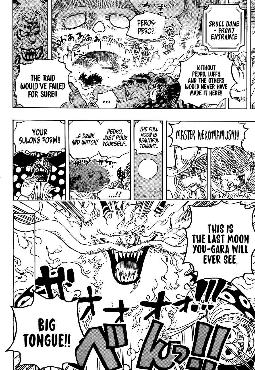 One Piece, Chapter 1023 image 16