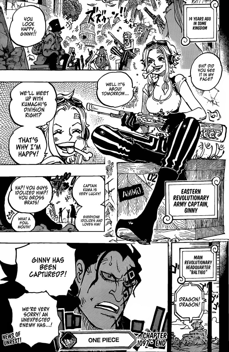 One Piece, Chapter 1097 image 12