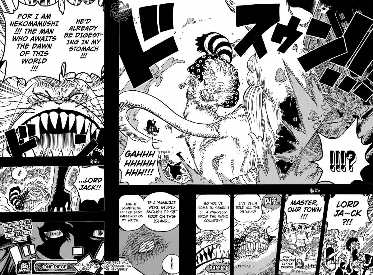 One Piece, Chapter 809 - Master Nekomamushi image 18