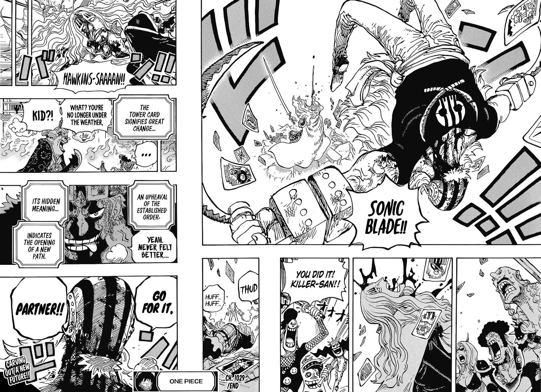 One Piece, Chapter 1029 image 16