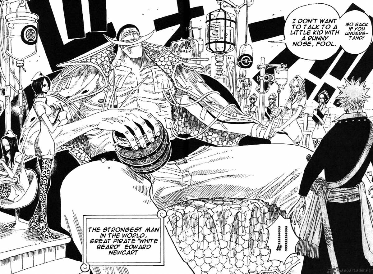 One Piece, Chapter 234 - Please Remember That! image 12