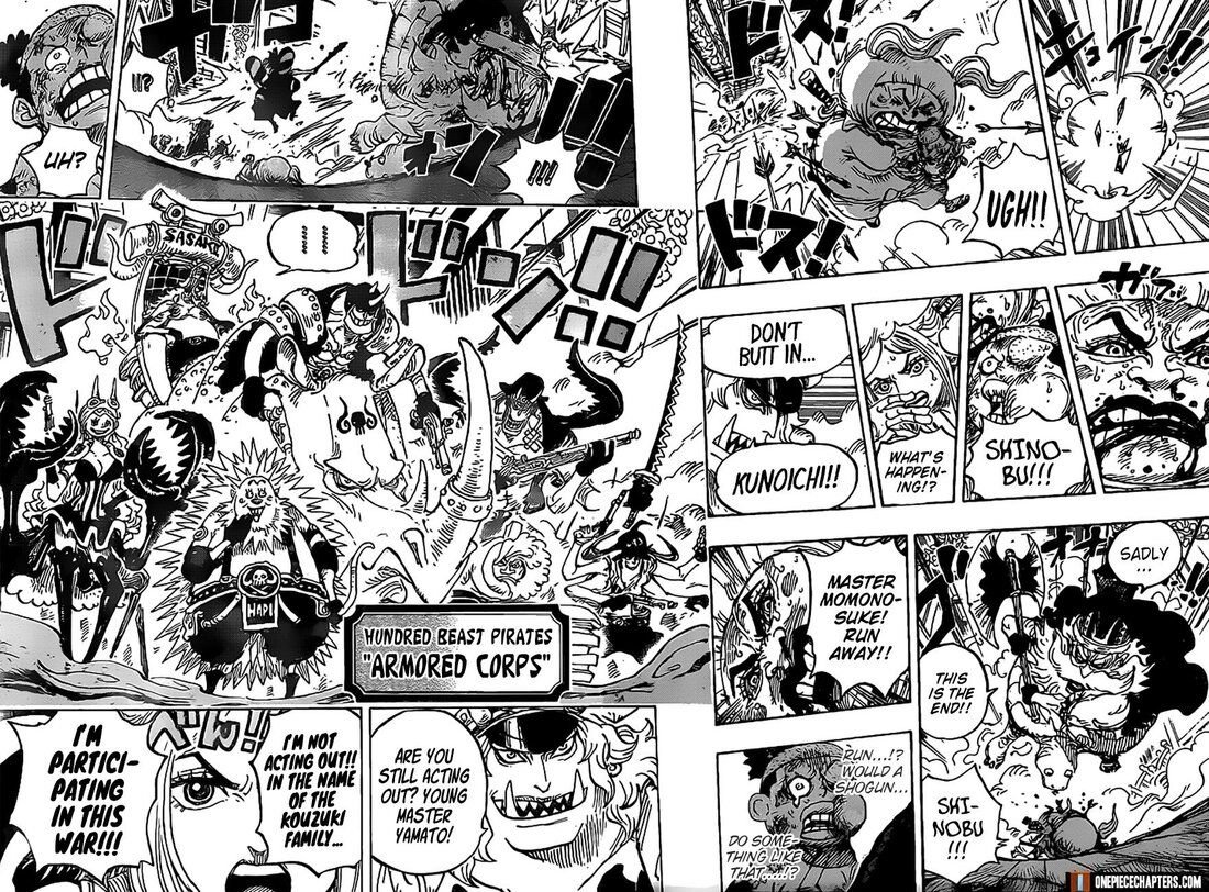 One Piece, Chapter 993 image 13