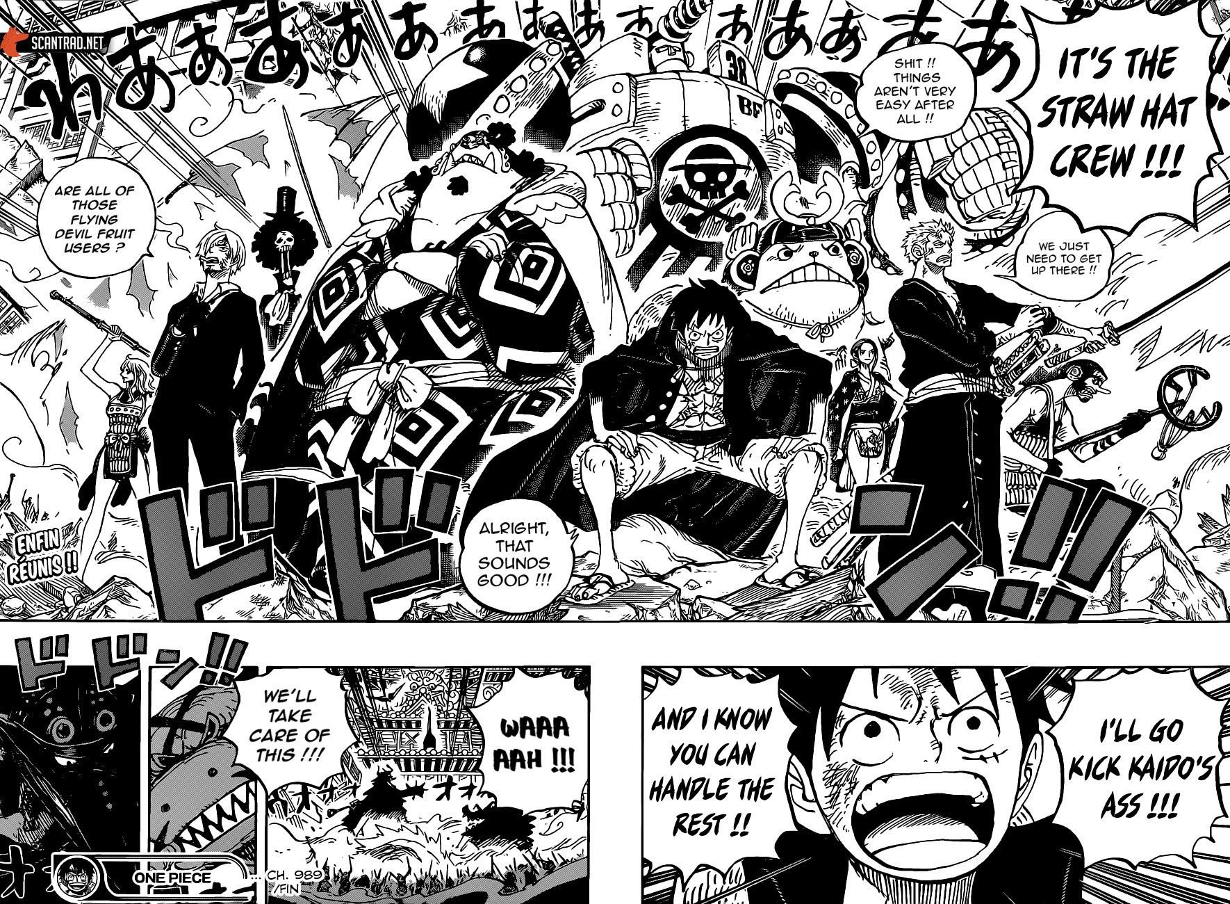 One Piece, Chapter 989 image 15