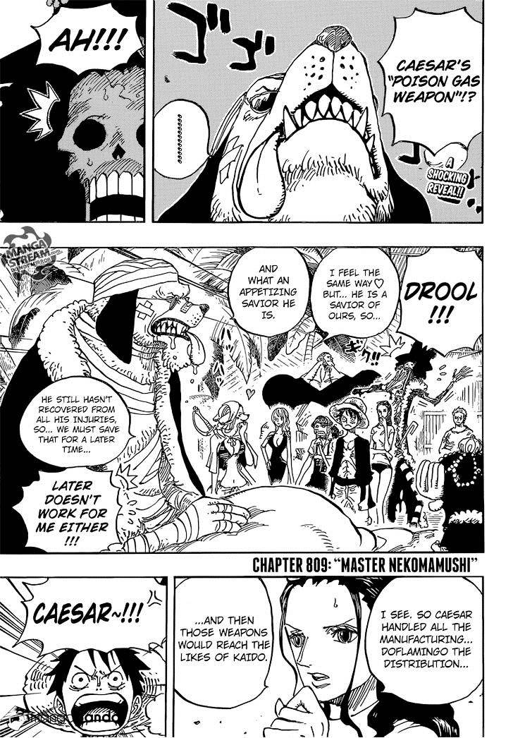 One Piece, Chapter 809 - Master Nekomamushi image 05