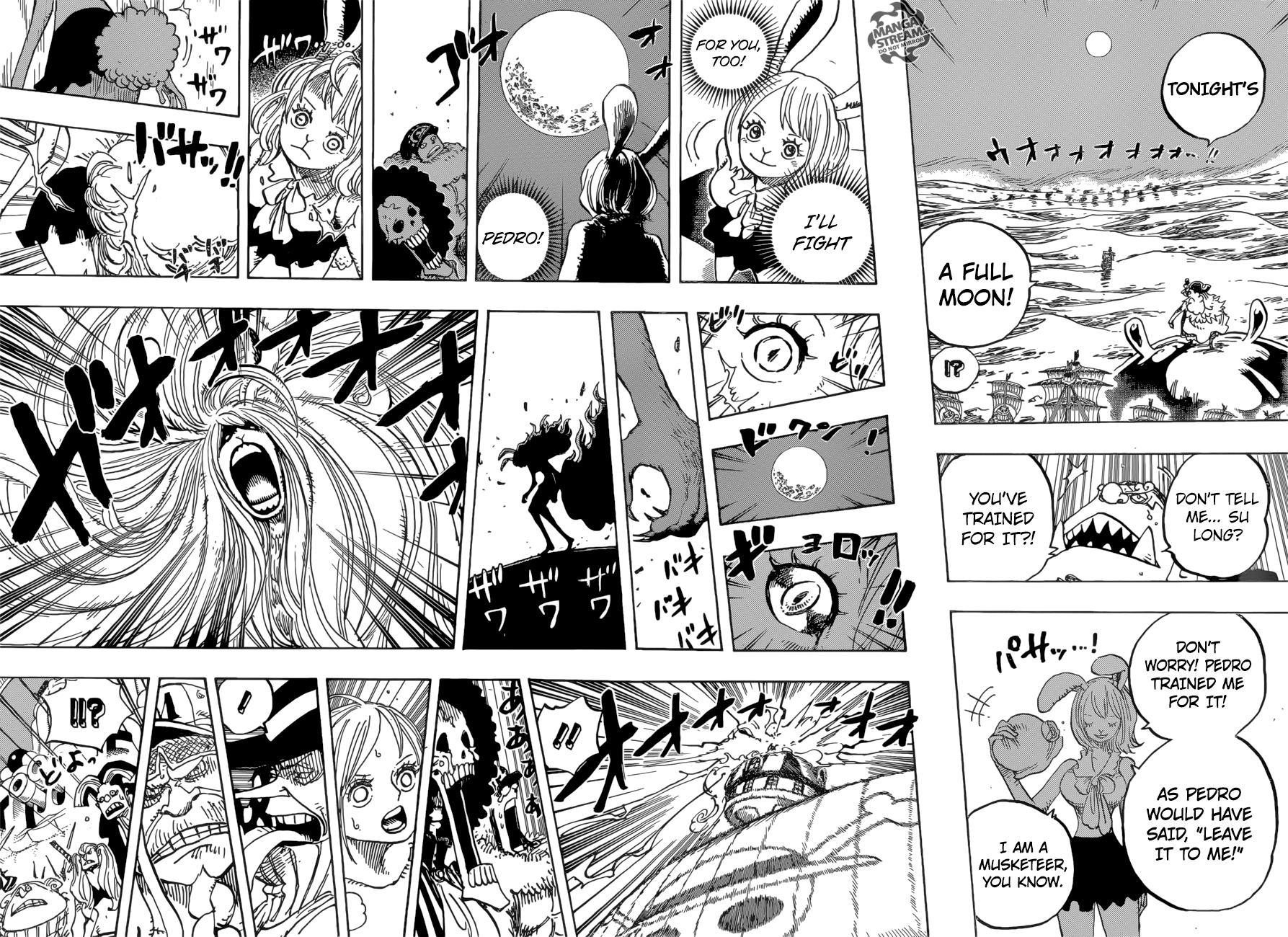 One Piece, Chapter 888 - Lion image 10