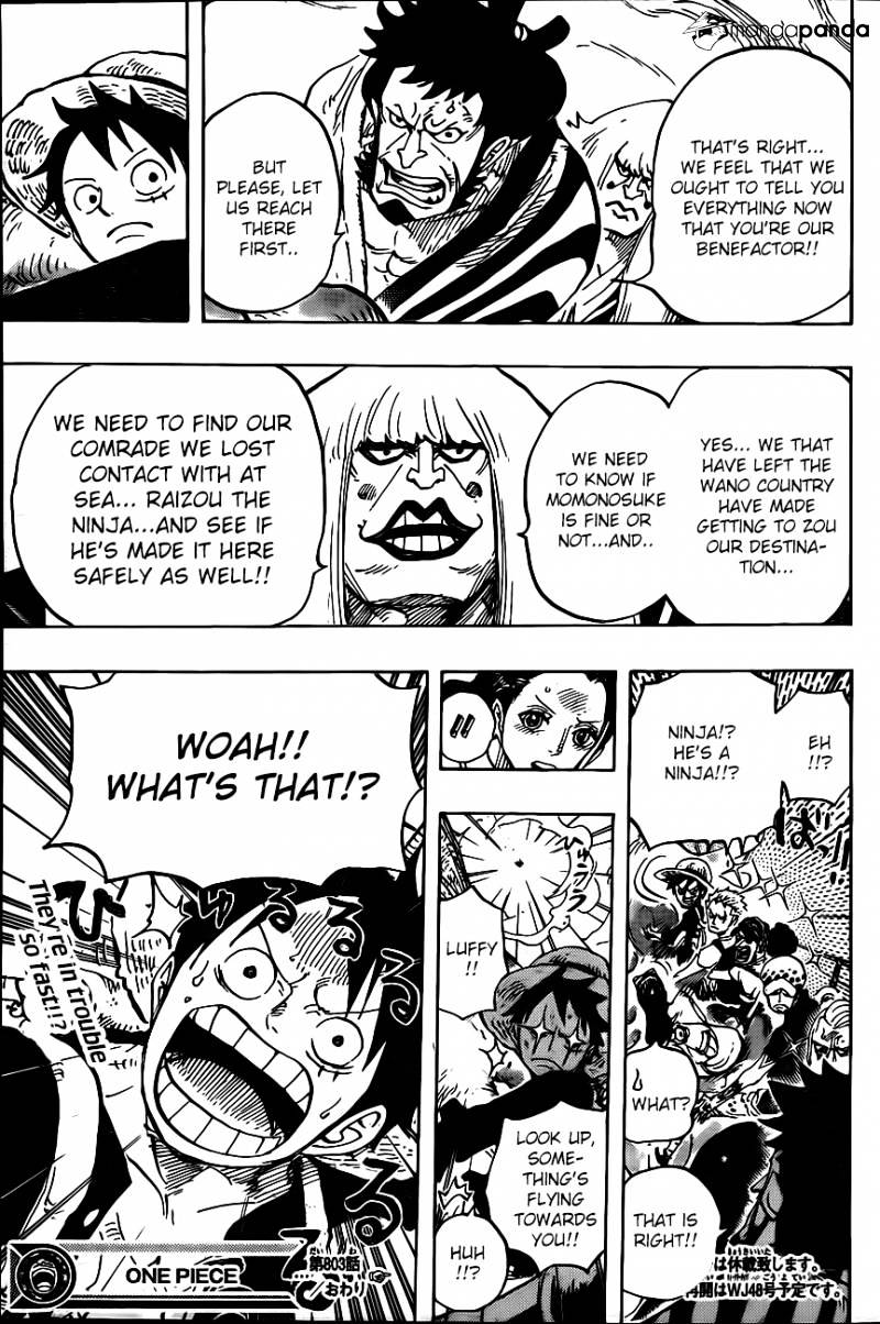 One Piece, Chapter 803 - Climbing the Elephant image 13